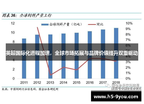 英超国际化进程加速，全球市场拓展与品牌价值提升双重驱动