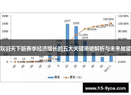 双羽天下新赛季经济增长的五大关键策略解析与未来展望