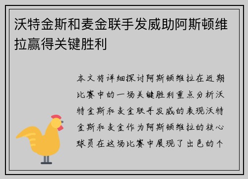 沃特金斯和麦金联手发威助阿斯顿维拉赢得关键胜利