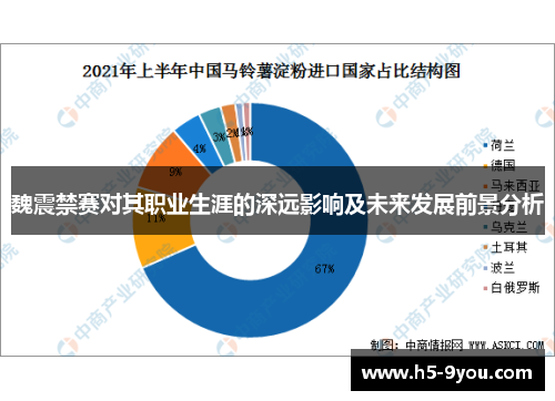 魏震禁赛对其职业生涯的深远影响及未来发展前景分析
