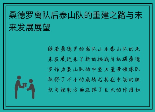 桑德罗离队后泰山队的重建之路与未来发展展望