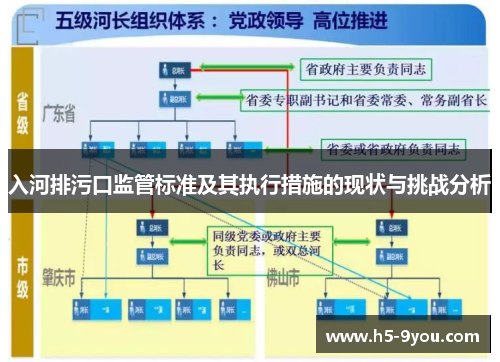 入河排污口监管标准及其执行措施的现状与挑战分析